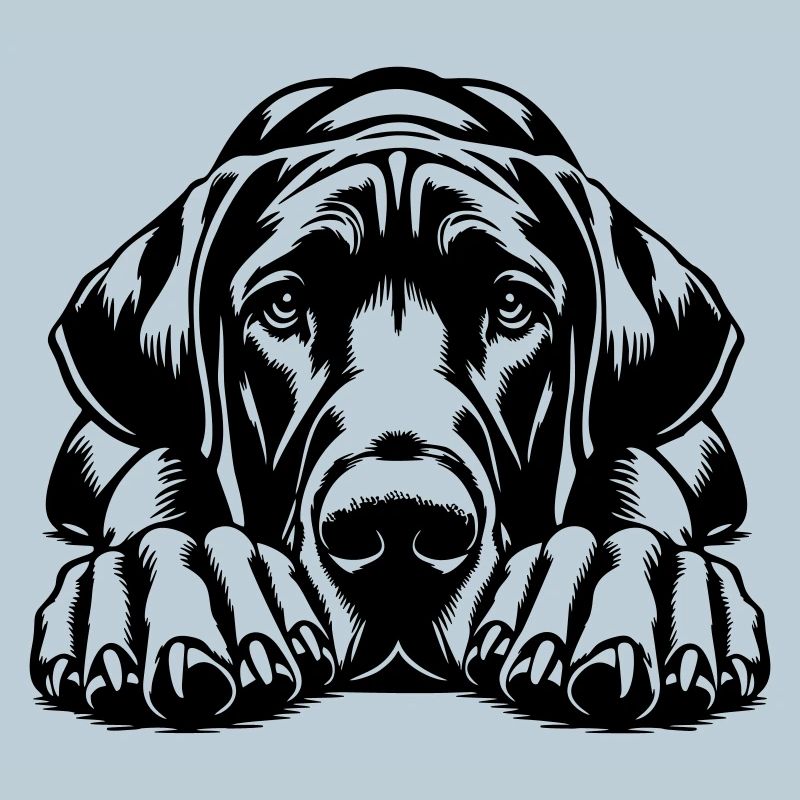 Deutsche Dogge