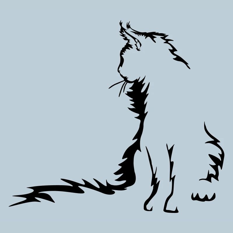 Maine Coon Cat