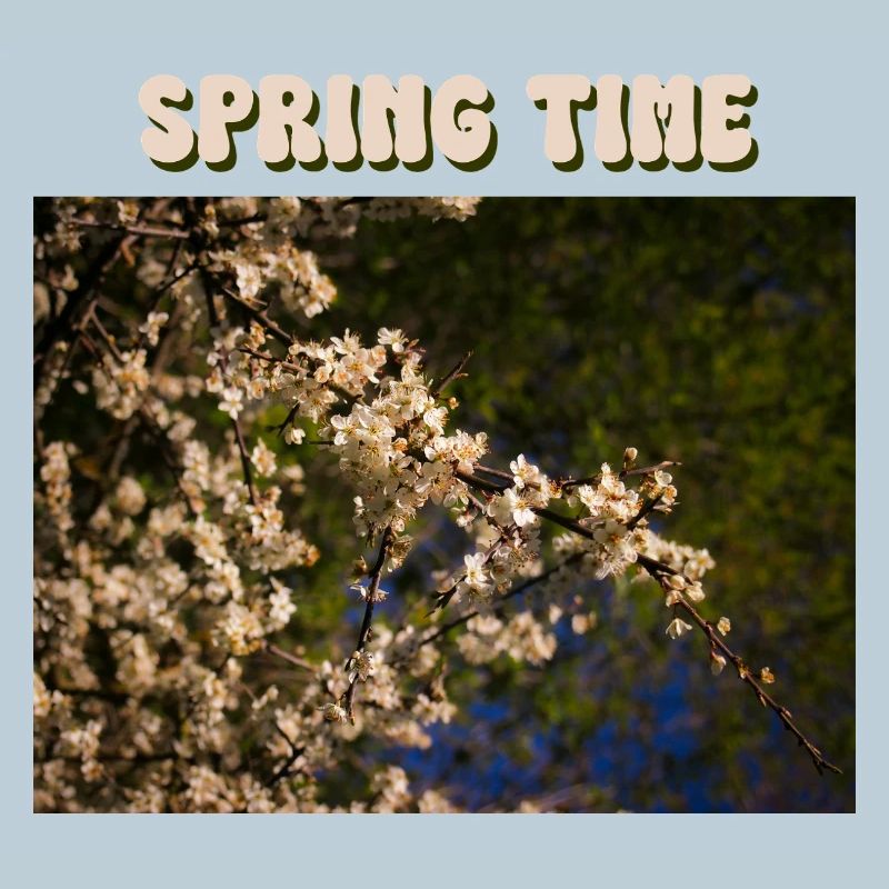 Spring time