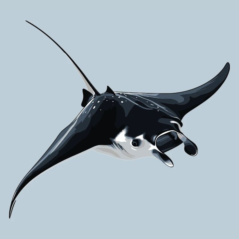 Rochen Mantarochen
