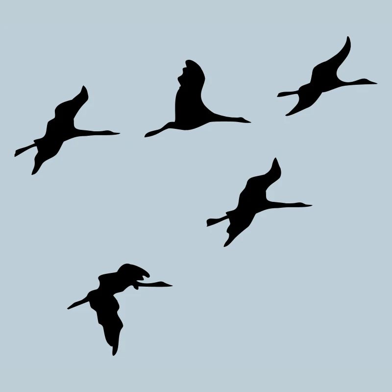 oiseau