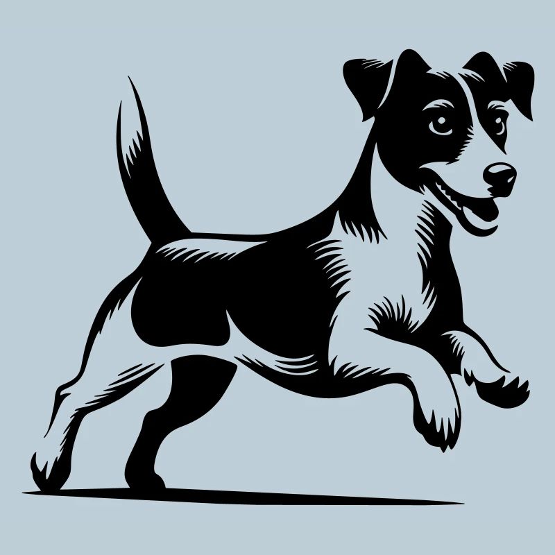 Jack Russell Terrier