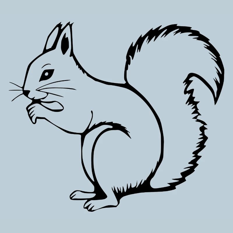 Eichhörnchen