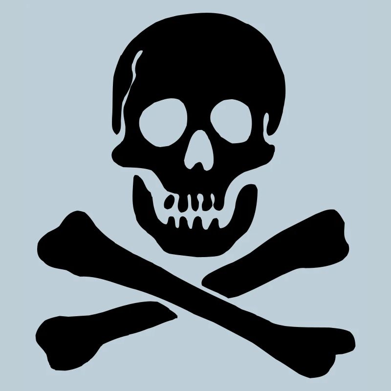 Drapeau pirate Crâne avec os croisés