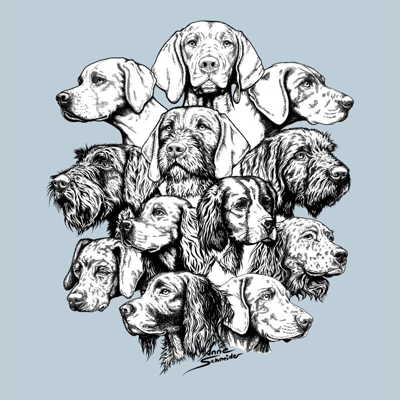 Chiens pointant des objets cachés