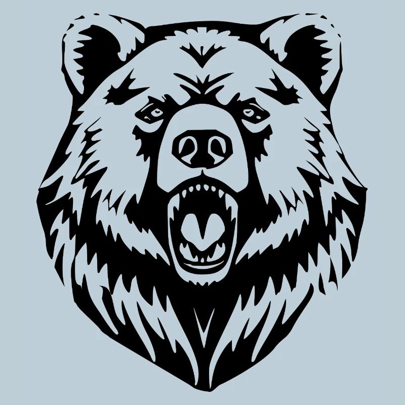 Bear Bears T-shirt Gift