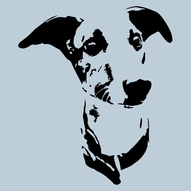 Whippet Kopf