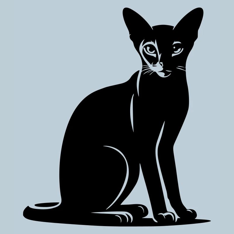Chat abyssin