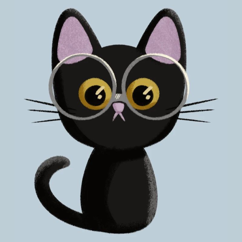 Black cat