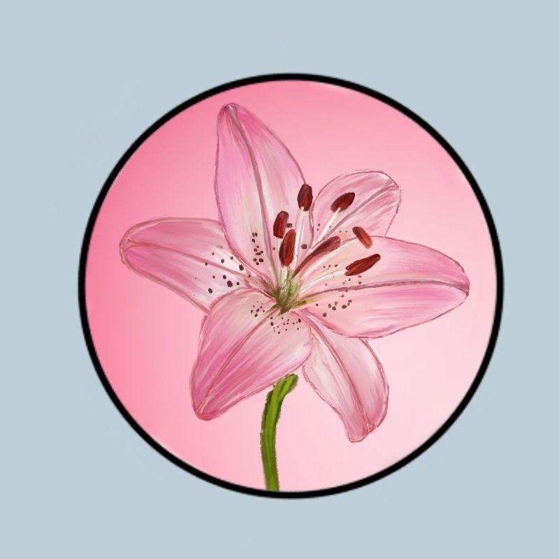 LilyDream