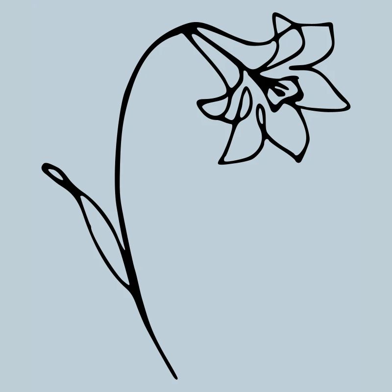 narcisse