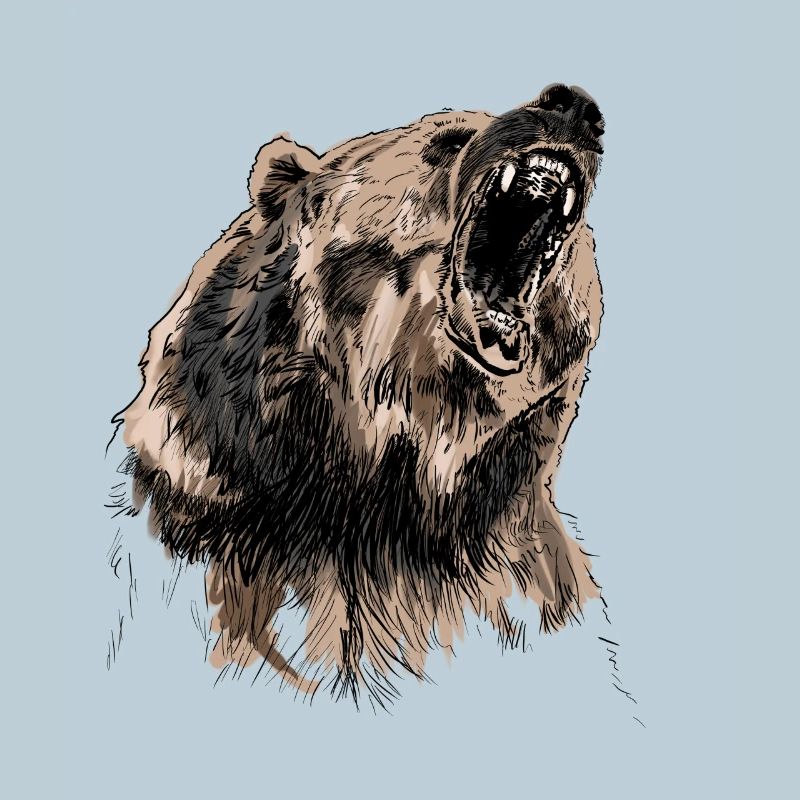 bear