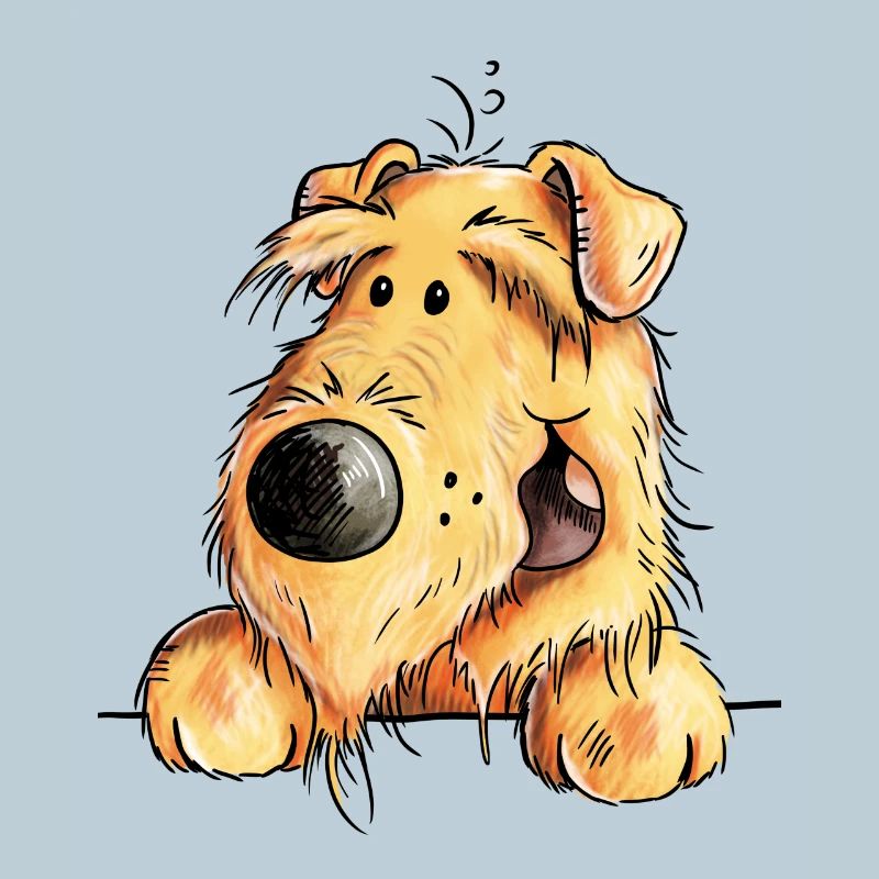 Witziger Airedale Terrier - Welsh Terrier - Hund