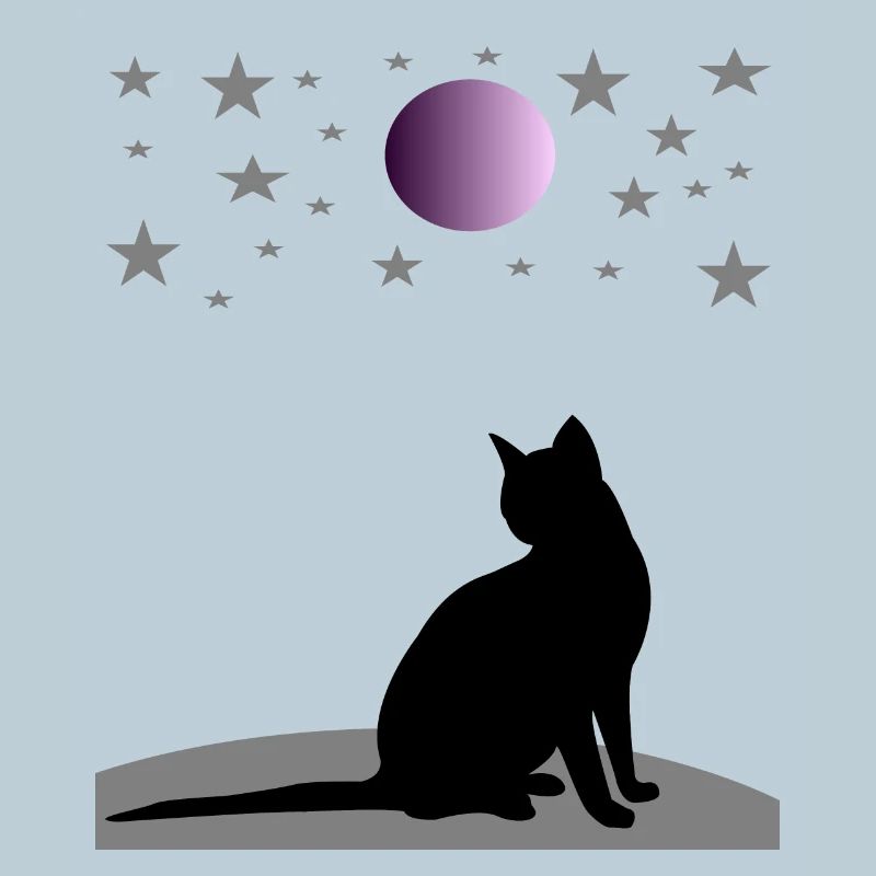 Ciel étoilé avec lune et chat