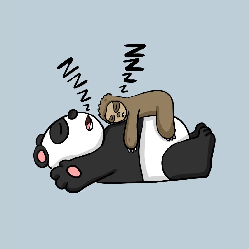 Faultier und Panda
