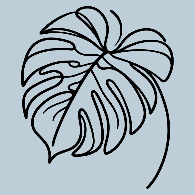 Monstera