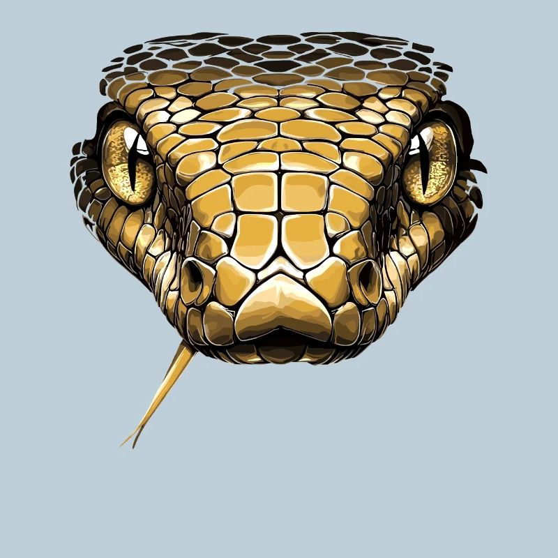 Snake Python Cobra Mamba Rattlesnake Snake