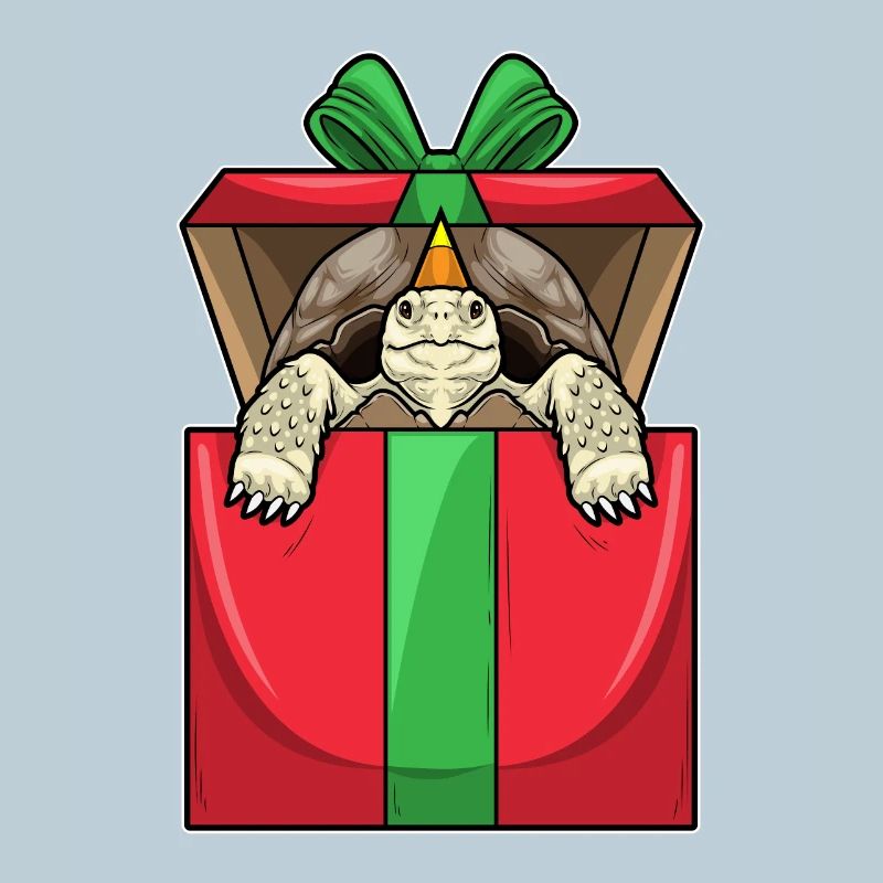 Turtle Birthday Package
