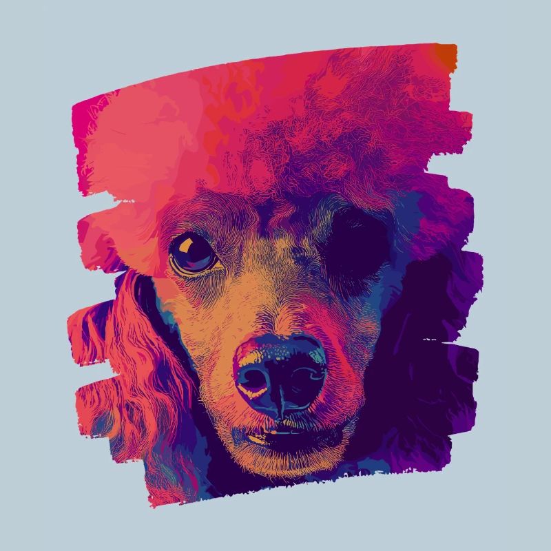 Caniche