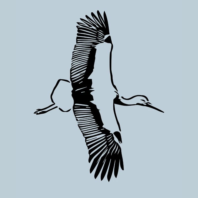 Flug des Storches