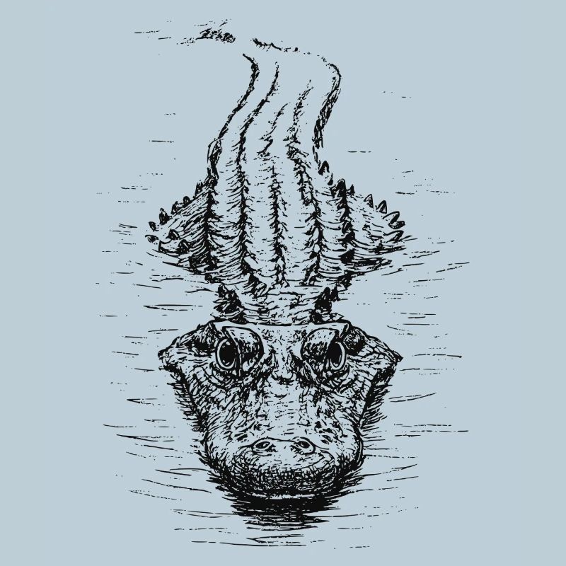 Floating Croc