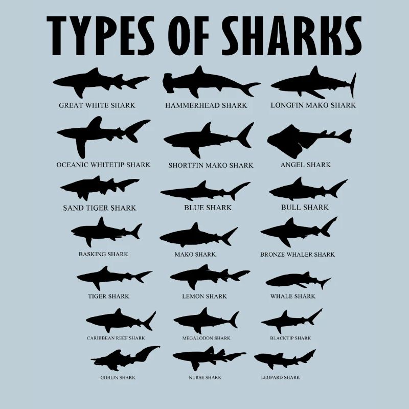 Tableau des types éducatifs d’espèces de requins