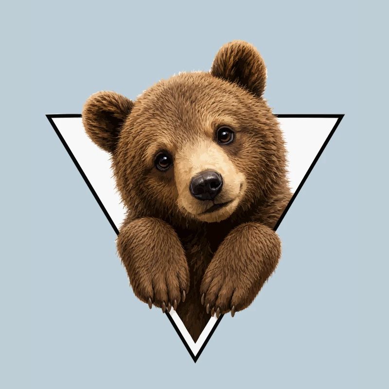 Bear cub in triangle
