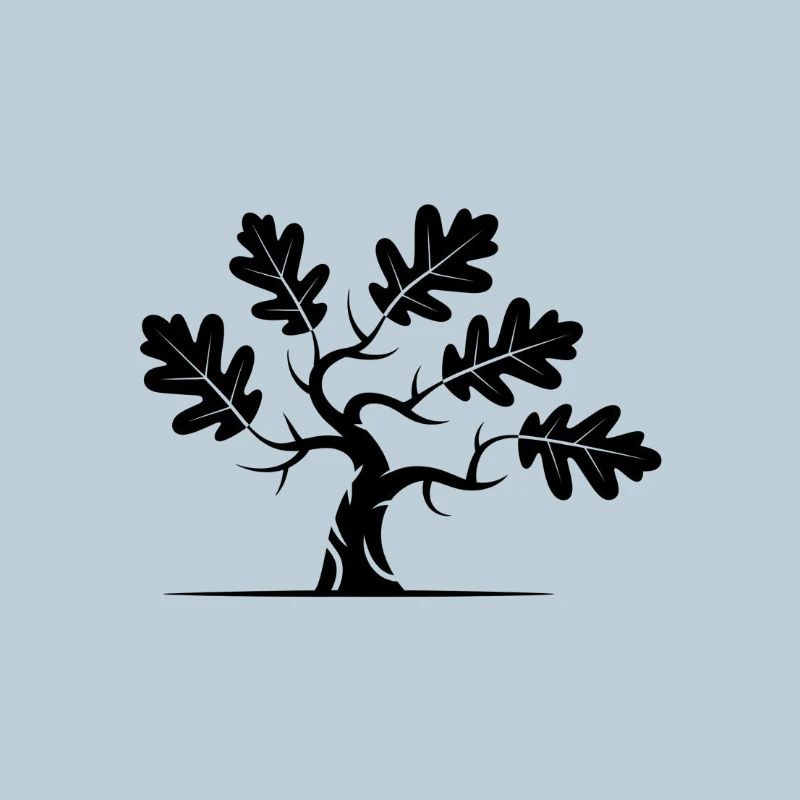 Oak Bonsai Tree