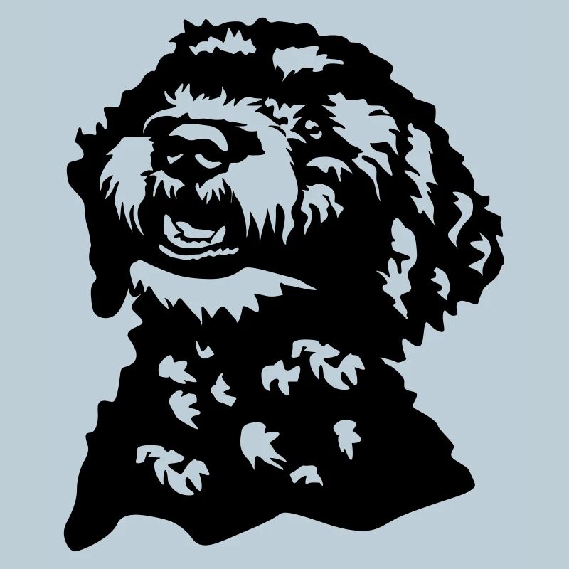 Lagotto Romagnolo head