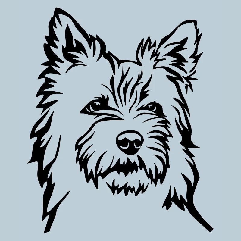 Cairn Terrier