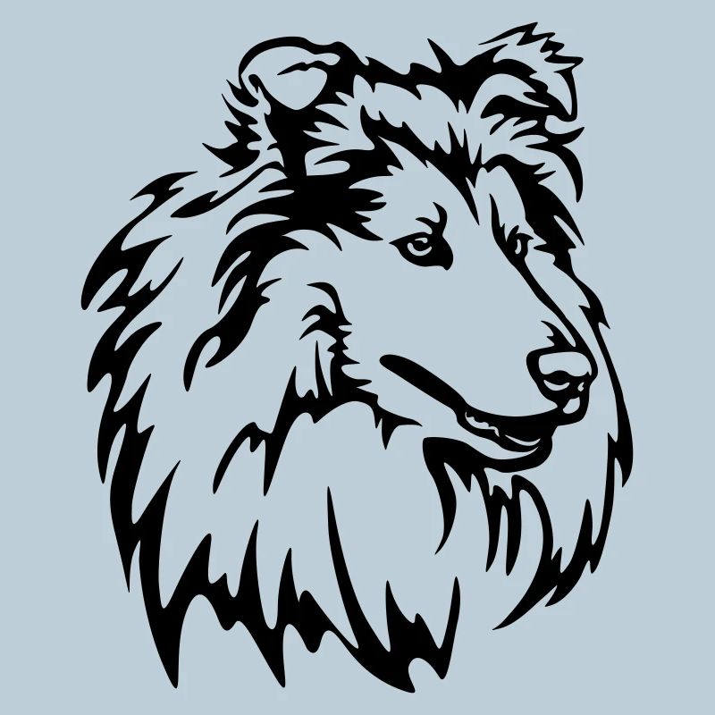 Collie Head