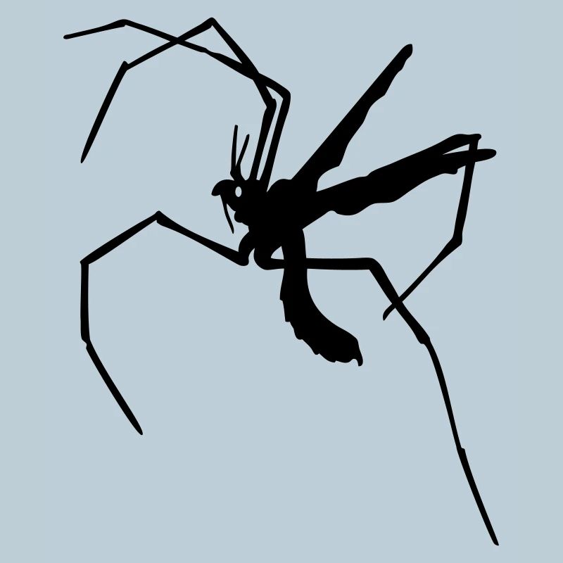 Moustique à longues pattes