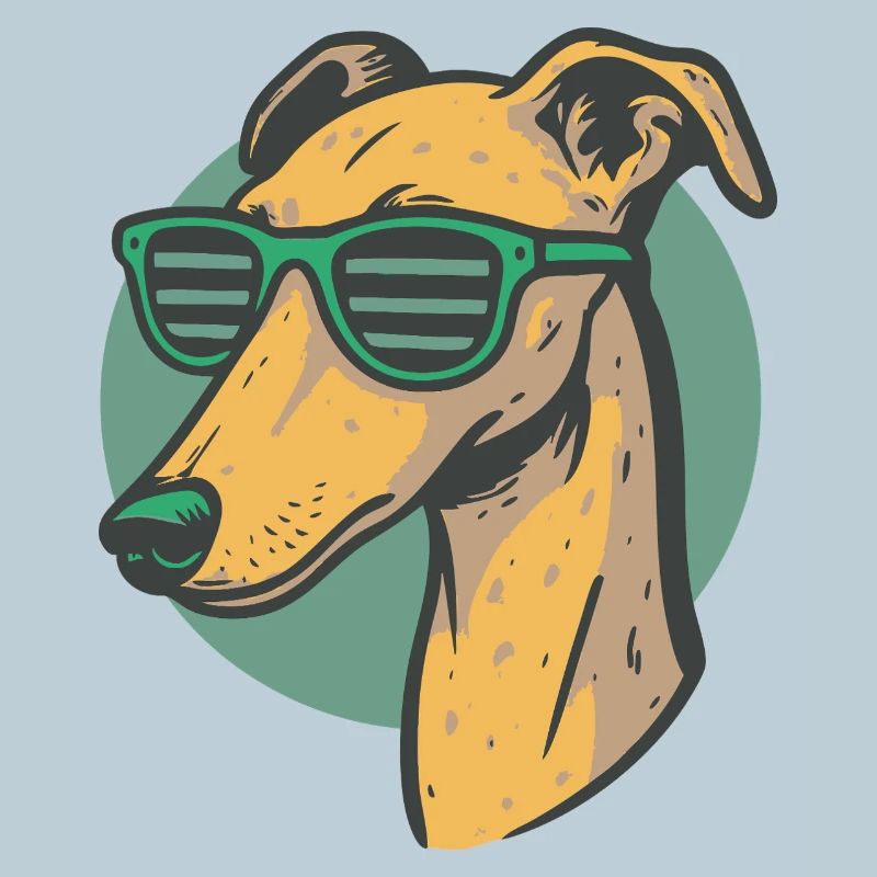 Windhund, Galgo