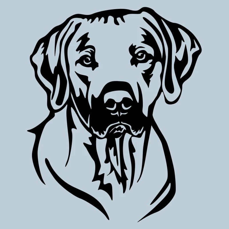 Rhodesian Ridgeback Head
