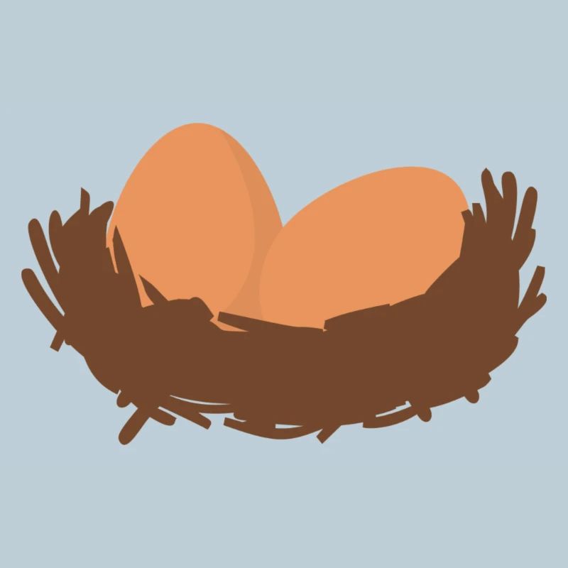 Eggs Nest Egg Easter