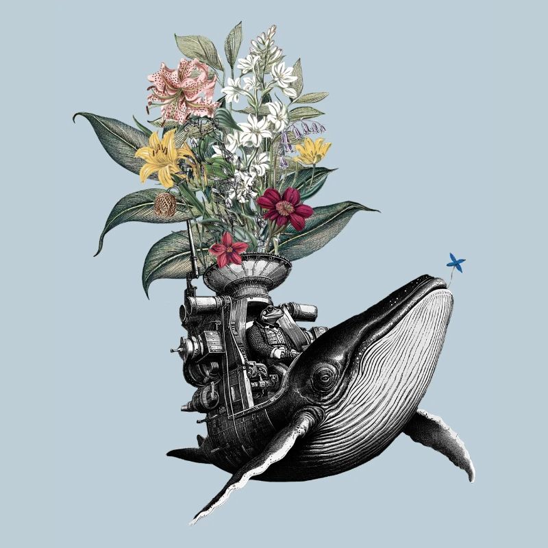 Félicitations – Grenouille, Baleine, Fleurs