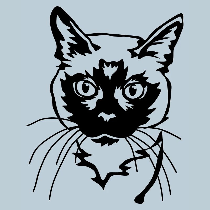 Chat siamois