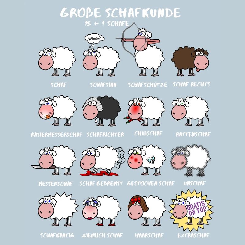 Great sheep knowledge