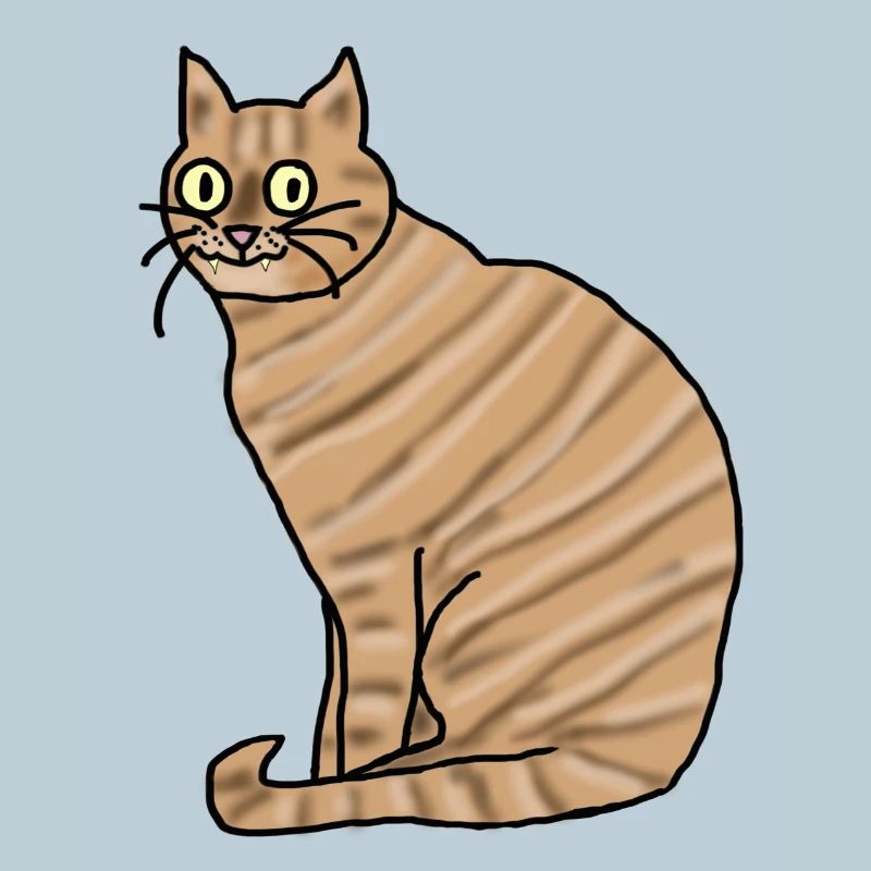 Katze