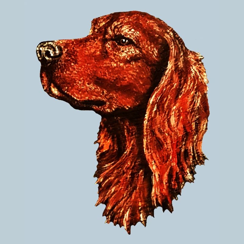Irish setter portrait