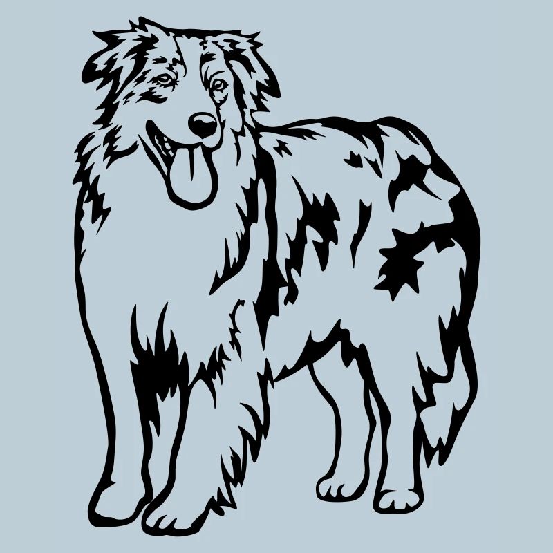 Australian Shepherd