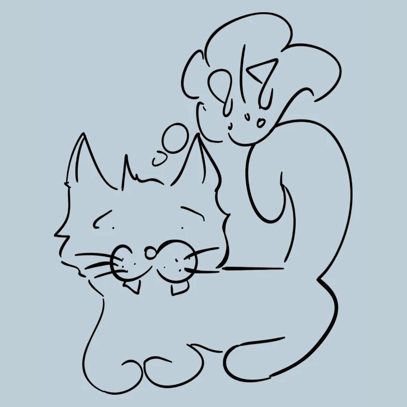 Katze