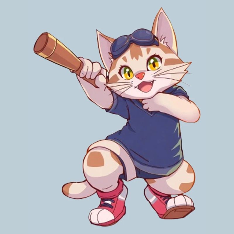 Chat, Chats
