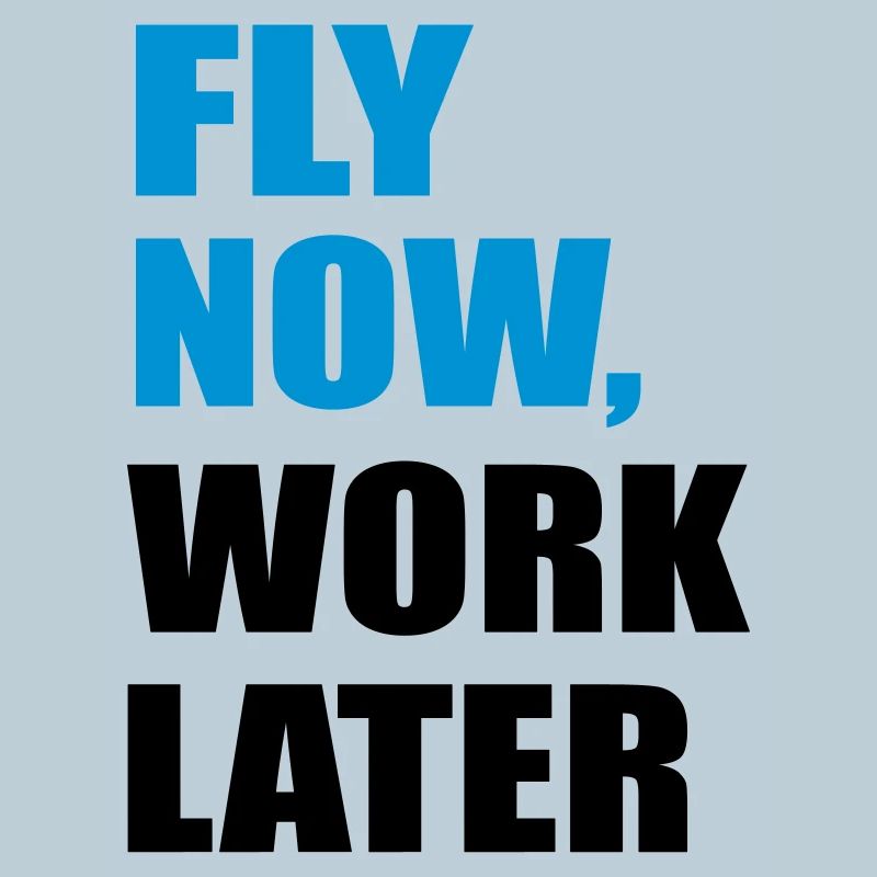 fly