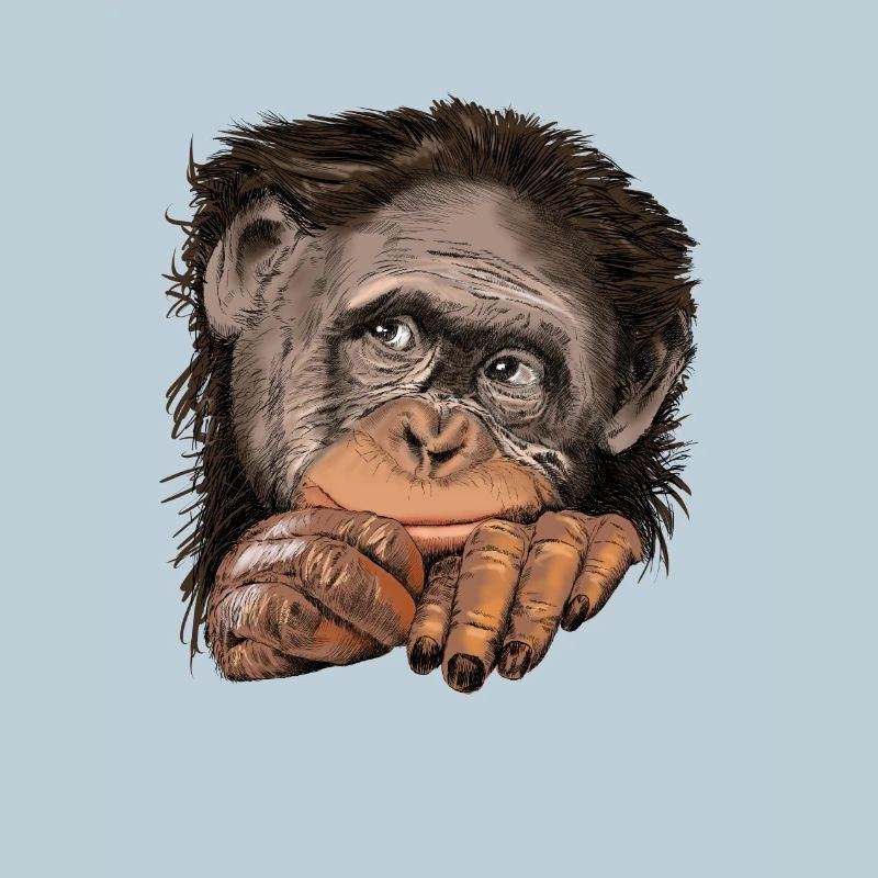 Monkey