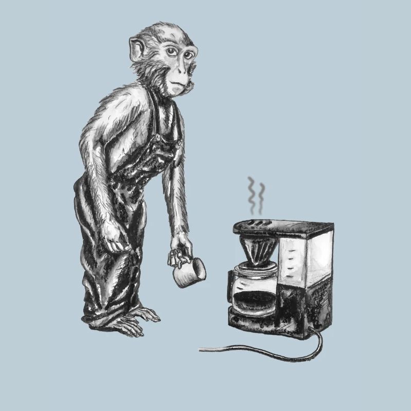 Singe et café