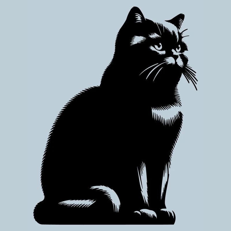 Britisch Kurzhaar Katze
