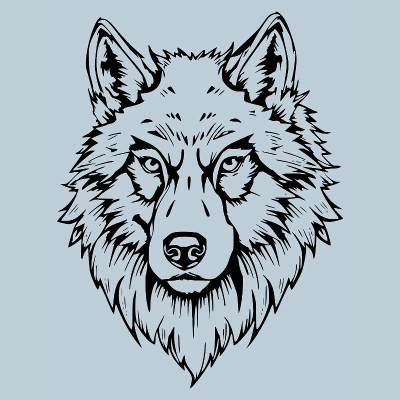 schwarzer Wolf Kopf Gesicht 
