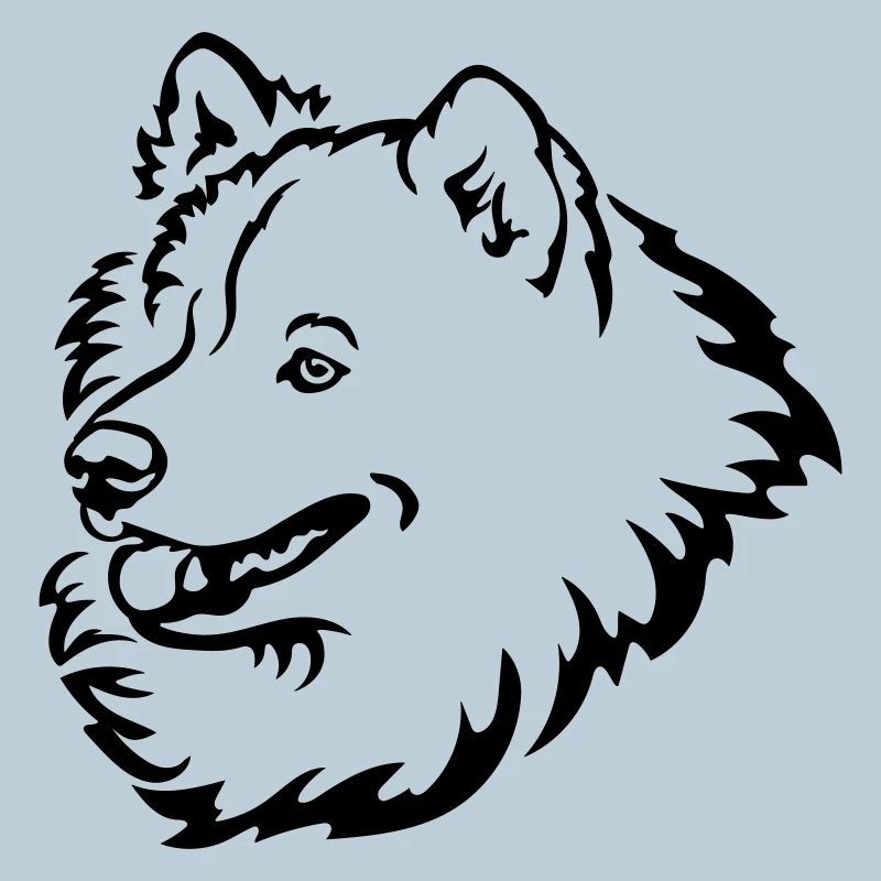 Samoyed head