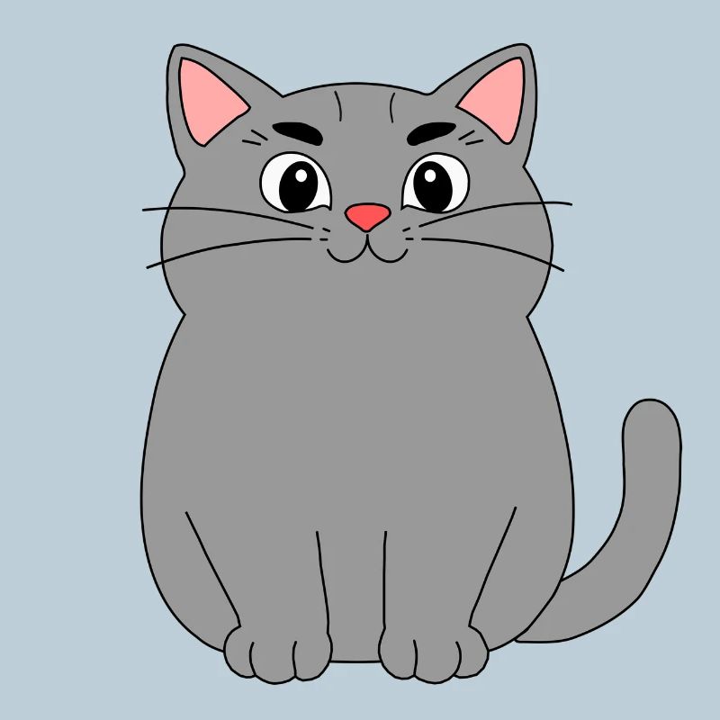 Gray Cat